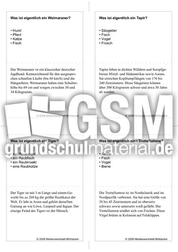 Quiz-Karten-Tiernamen 9.pdf